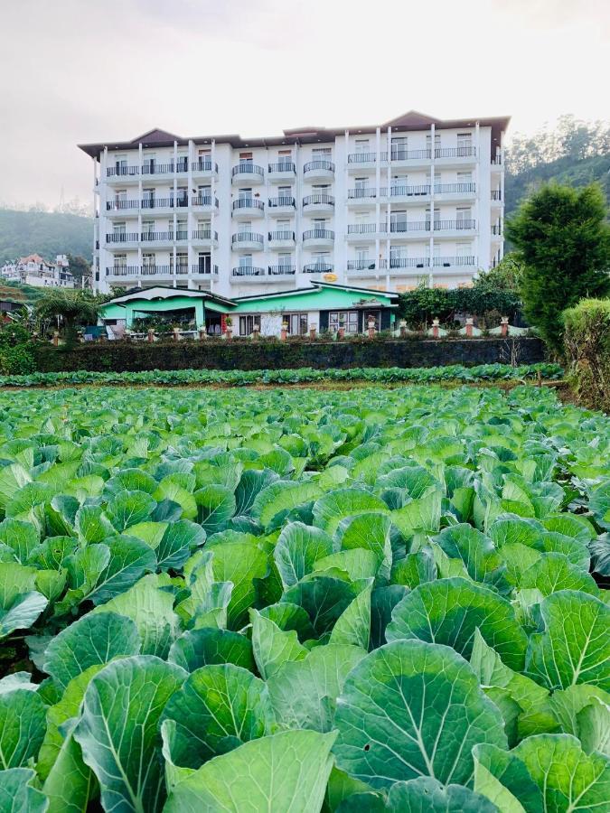 City Apartment'S Nuwara Eliya Bagian luar foto